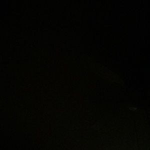 Meet your Posher, Ronald